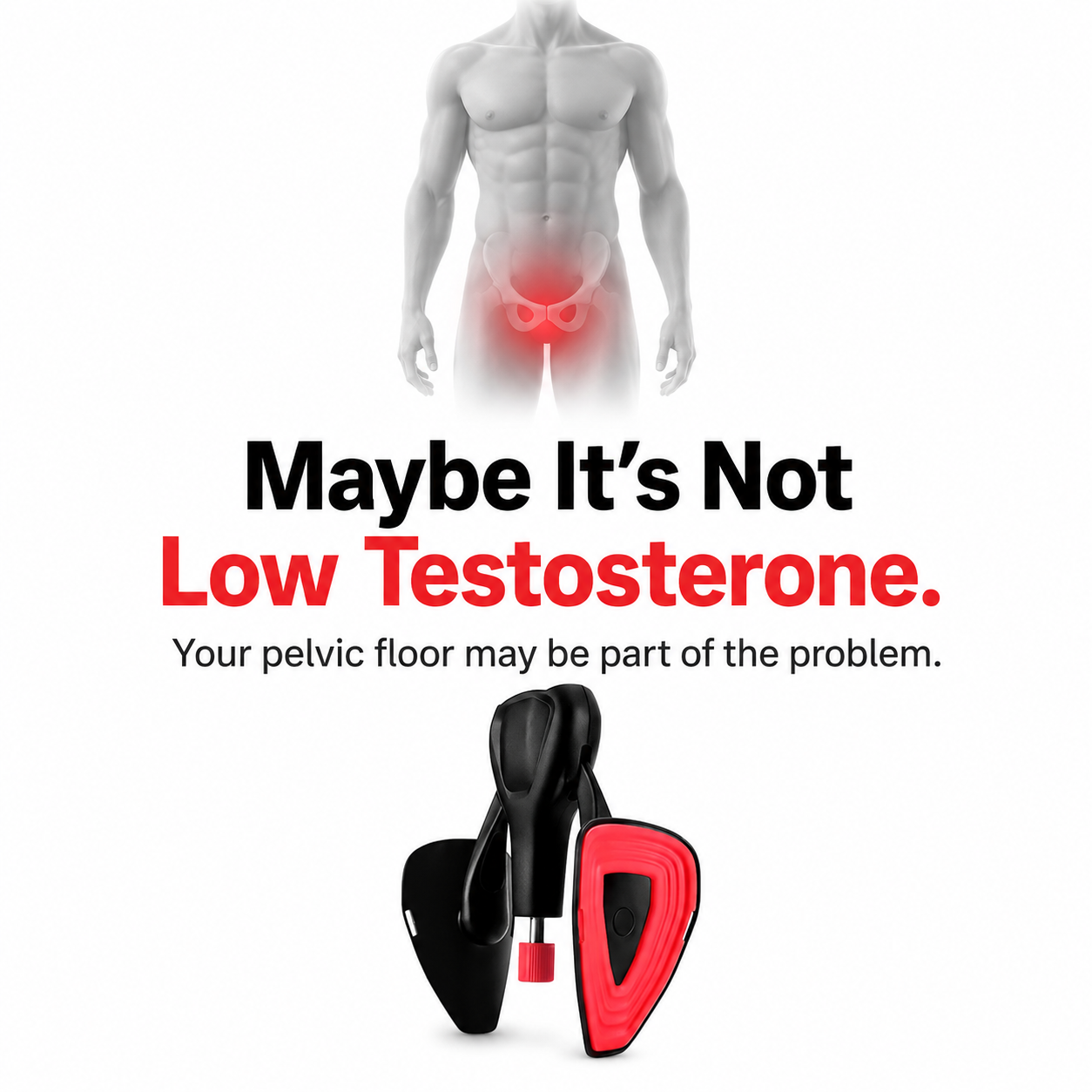 Male pelvic floor function