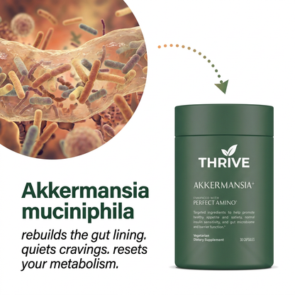 Akkermansia+
